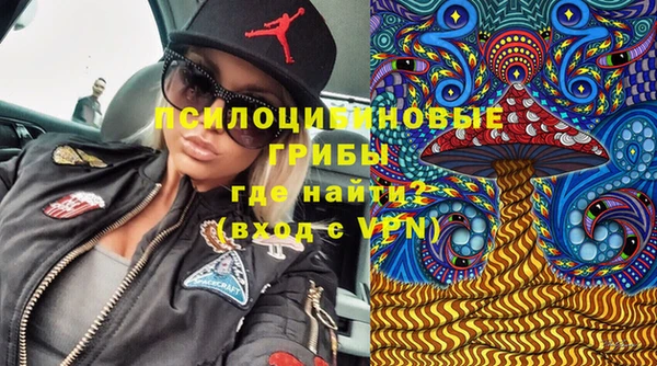 индика Вяземский