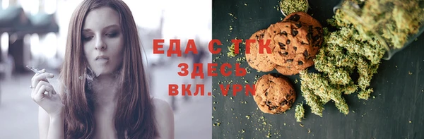 индика Вяземский