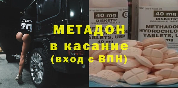 индика Вяземский