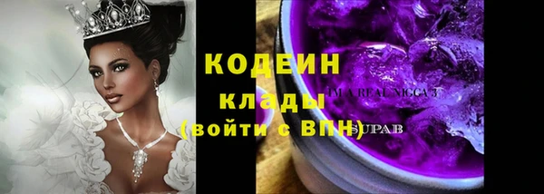 индика Вяземский