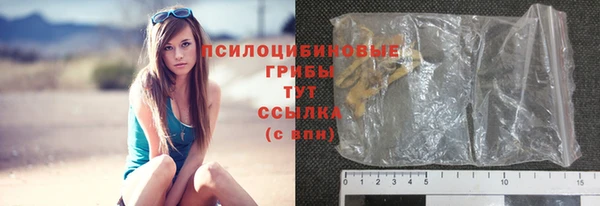 прущий лед Вязники