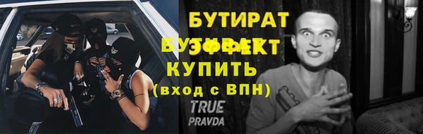 индика Вяземский