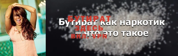 индика Вяземский