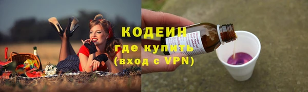 индика Вяземский