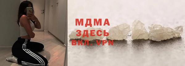 индика Вяземский
