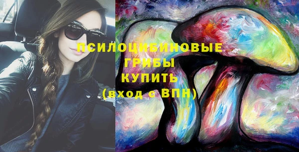 прущий лед Вязники