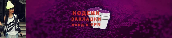 индика Вяземский