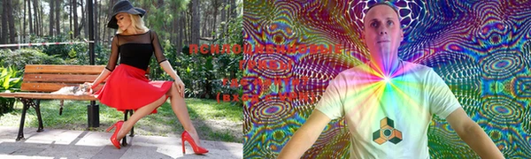 индика Вяземский