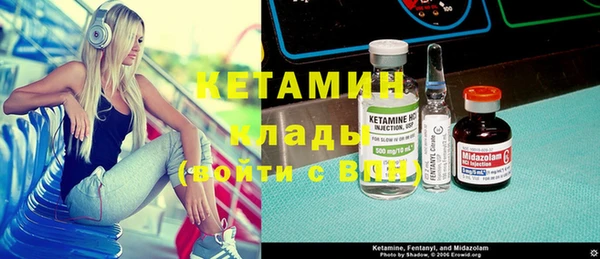 индика Вяземский