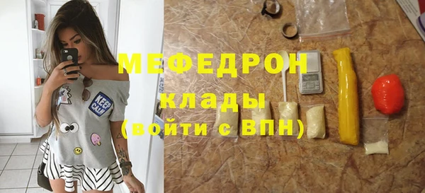 индика Вяземский