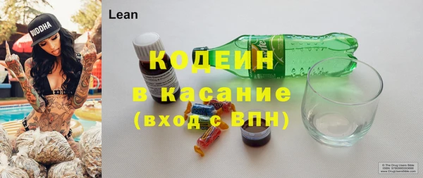 индика Вяземский
