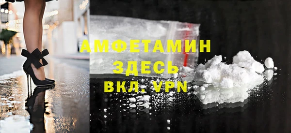 индика Вяземский