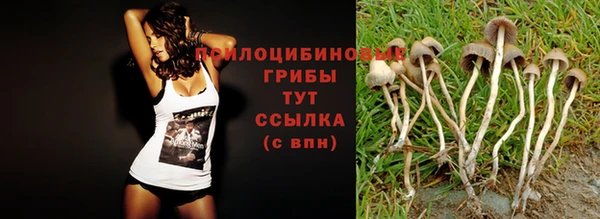 индика Вяземский