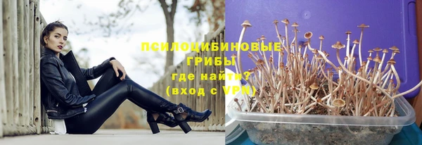 МДПВ Вязьма