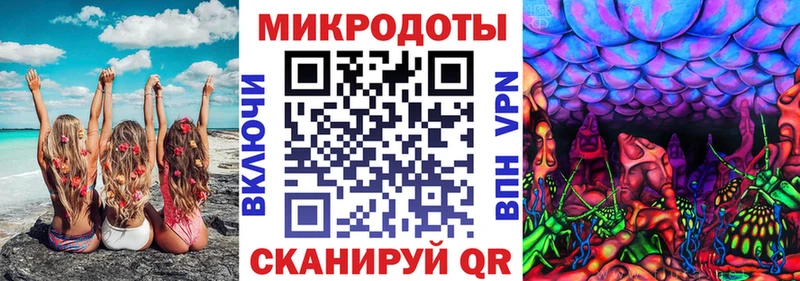 Купить где  Новая Ладога  Галлюциногенные грибы прущие грибы 